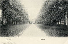 15890 Gezicht in de Nassau Odijklaan met rijen loofbomen te Zeist uit het noordoosten.